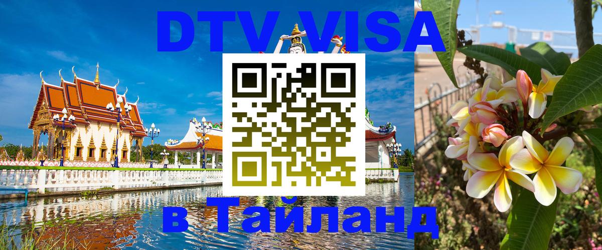 Сколько стоит DTV виза — актуальные цены, оформление даже без документов - Новый Уренгой 